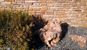Kamień murowy w ogrodzie 2