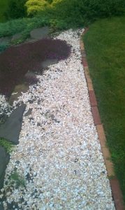 Grys biały - Biała Marianna w ogrodzie